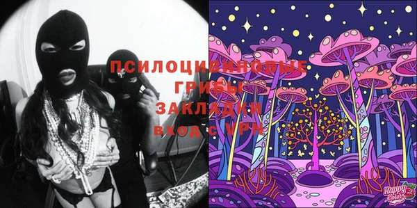 крисы Каменногорск
