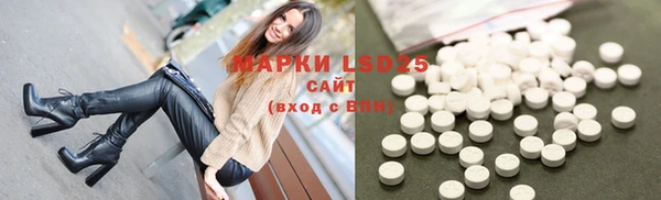 крисы Каменногорск