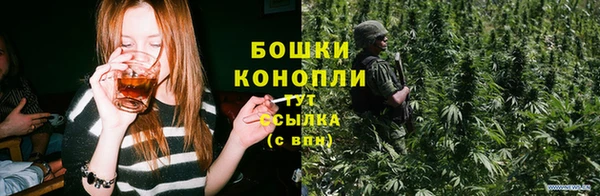 крисы Каменногорск