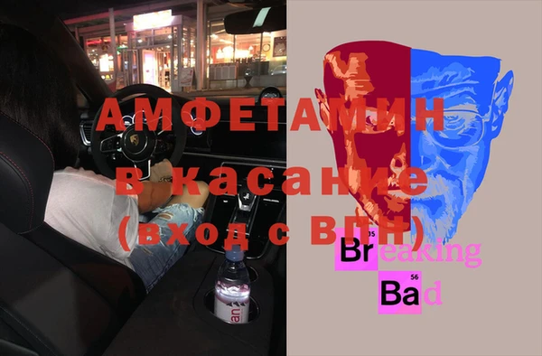 крисы Каменногорск
