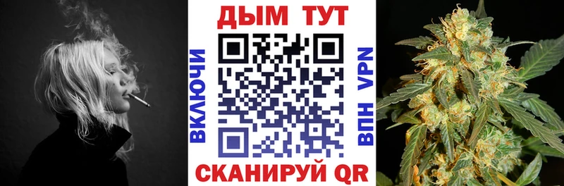 Шишки марихуана марихуана  Купить  Дмитриев 